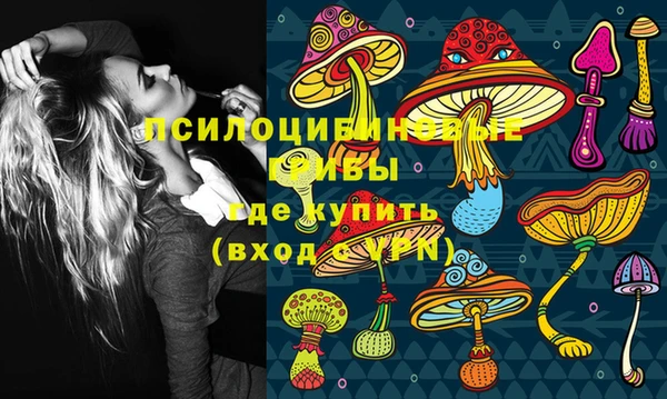 не бодяженный Алексин