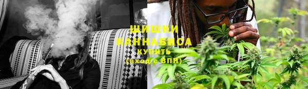 PSILOCYBIN Алексеевка